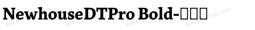 NewhouseDTPro Bold字体转换